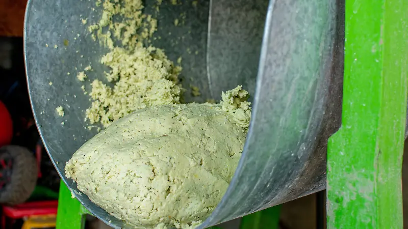 Tortillas de nopal